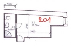 201