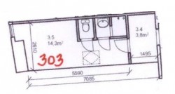 303